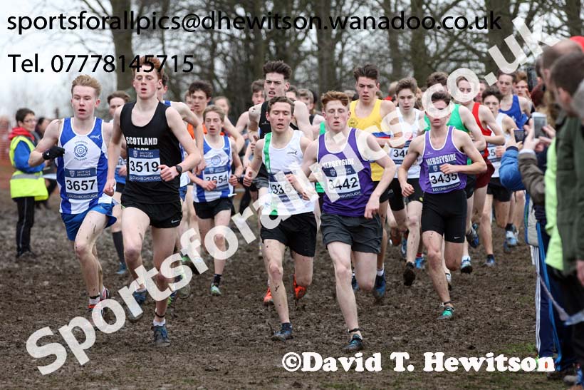 Mens under-17s Inter Counties Cross Country, Prestwold Hall, Loughborough. Photo: David T. Hewitson/Sports for All Pics